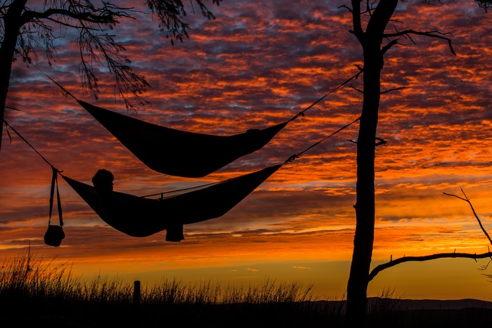 Two hammocks hang between trees at sunset in Scotland