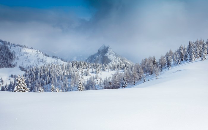 Snowy mountain landscape with pine trees and cloudy sky