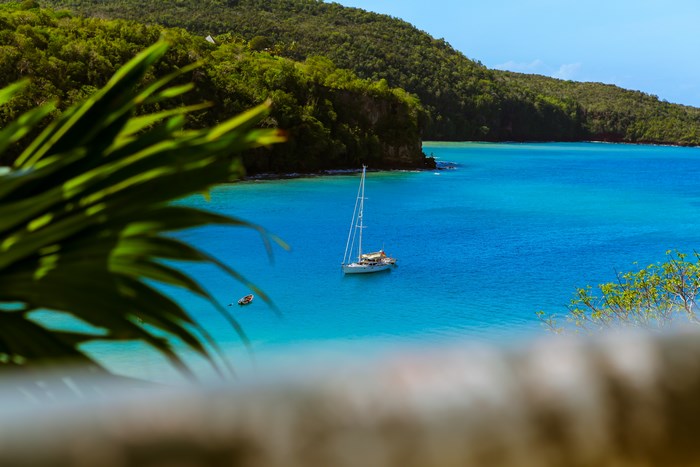 Sailboat in a tropical bay with lush green hills