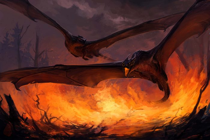 Two dragons flying over a fire