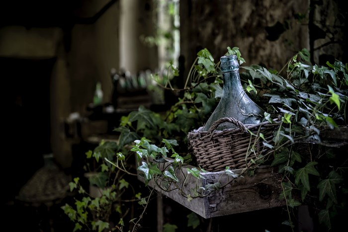 Rustic Wine Bottle and Ivy on Wooden Shelf