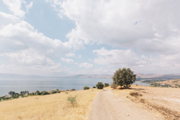 Path leading to the Sea of Galilee in Israel