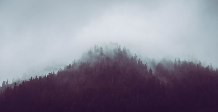 Misty forest on a foggy hillside