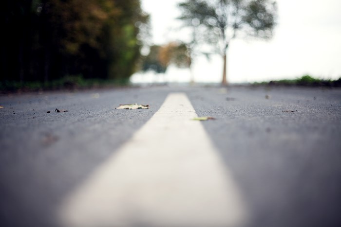 Road with white line and trees