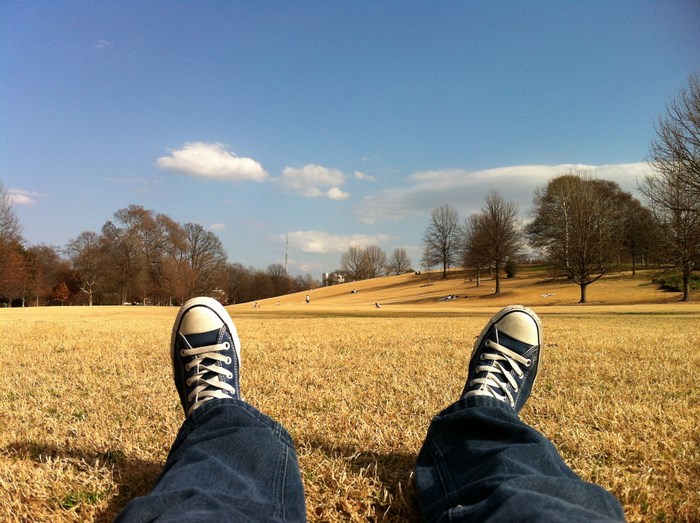 Person relaxing in a park wearing Converse sneakers