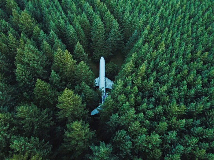 Aerial view of a plane hidden in a green forest