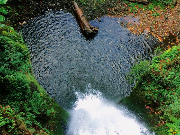 Top view of Multnomah Falls pool with a log