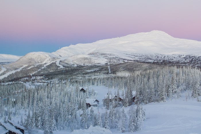 Snowy mountain village with evergreen forest and pink sky