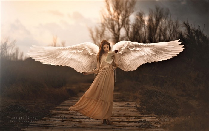 Angel with wings reading a letter and holding a rose