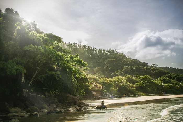 Person sitting on a rock by a forest and beach