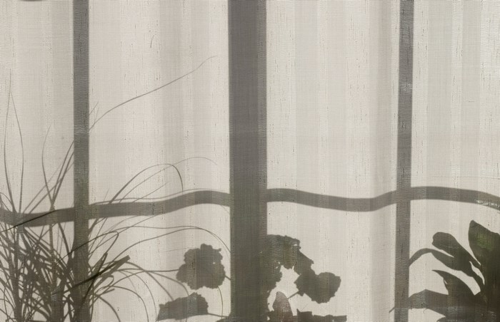 Shadows of plants on a curtain