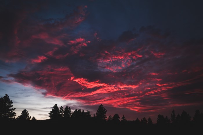 Dramatic sunset sky over silhouetted trees