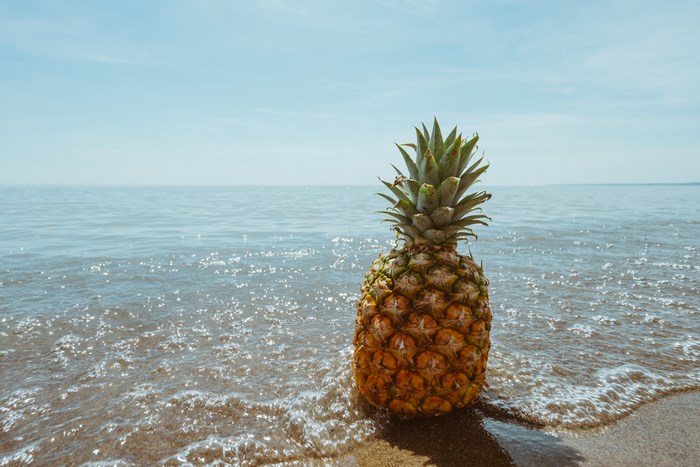 Pineapple on a sandy beach by the ocean