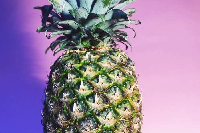 Close-up of a pineapple on a pink and purple ombre background