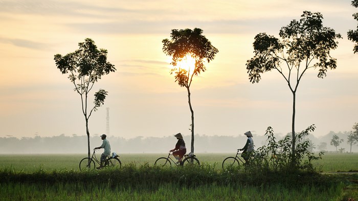 Farmers Cycling Through Sunrise Field Silhouette