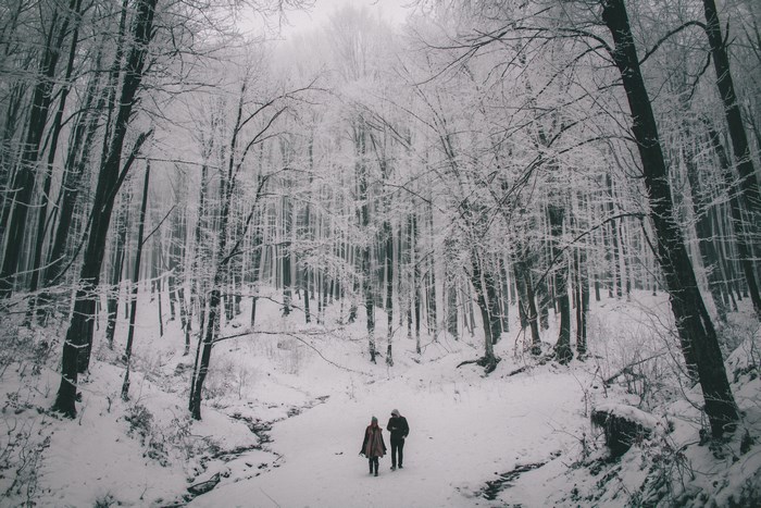 Couple walking in a snowy forest in Romania
