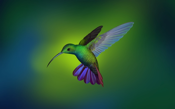 4K Vibrant Hummingbird in Flight