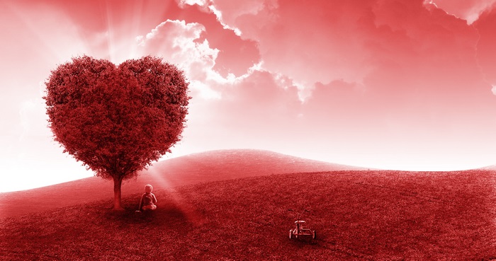 4K Heart Tree Landscape with Kid and Toy Car