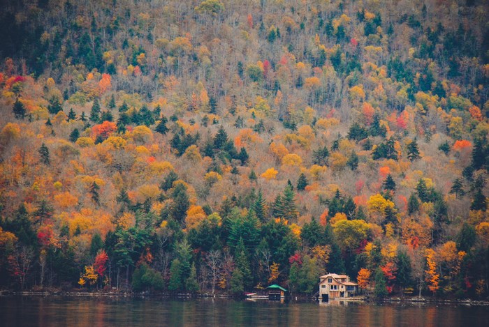 Autumn forest landscape with a house by the lake