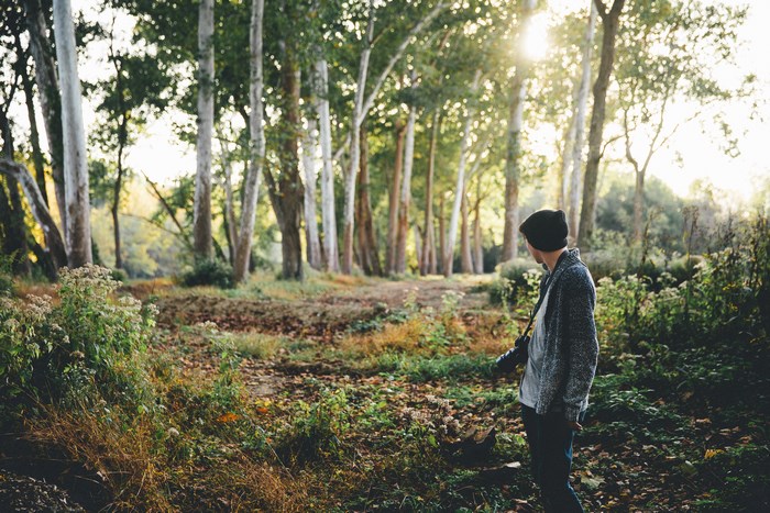 Photographer with camera in a sunlit forest