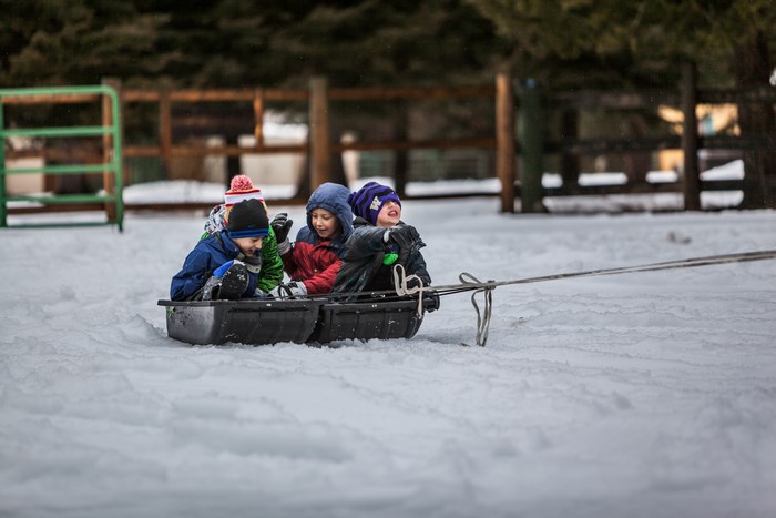 Children pulled in a sled through the snow