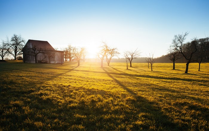 Rural barn and orchard at sunset