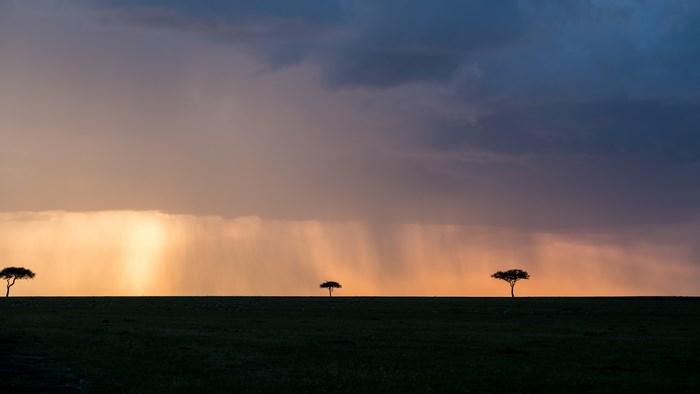 Sunset Storm Over African Savannah Silhouettes