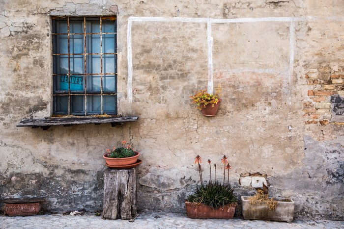 Old building exterior with a window and potted plants