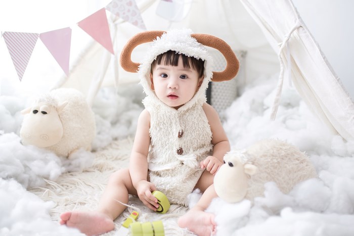 Baby in sheep costume with stuffed sheep toys