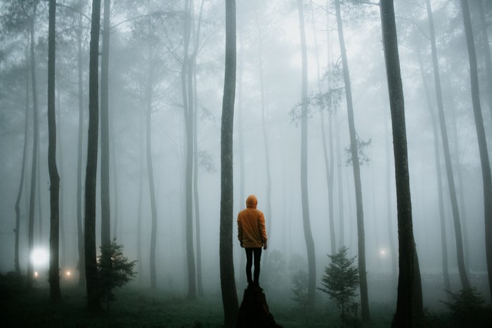 Person in yellow jacket in foggy forest with lights