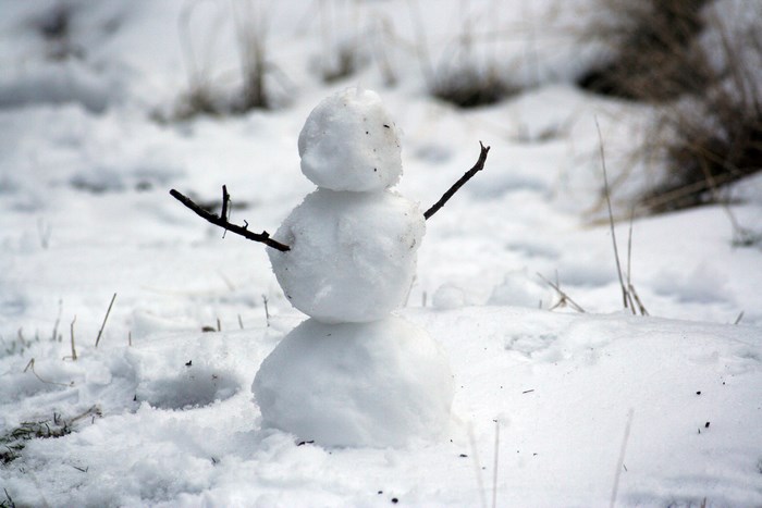 Snowman in a snowy field with branches