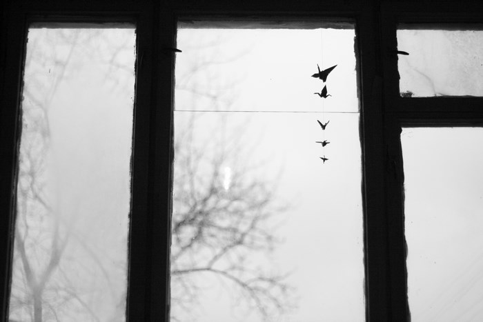 Origami cranes hanging in a window