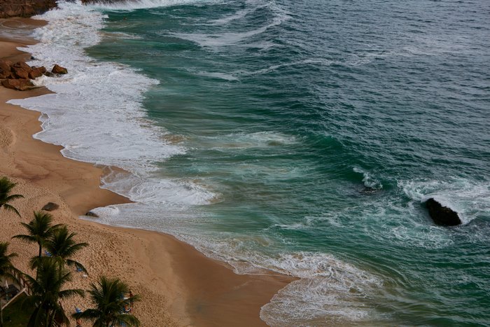 Waves crashing on a sandy beach with palm trees in Rio de Janeiro