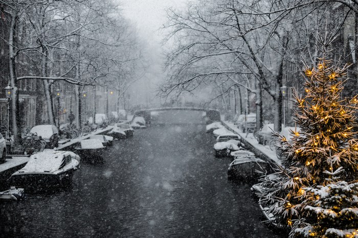 Snowing in Amsterdam with a Christmas Tree