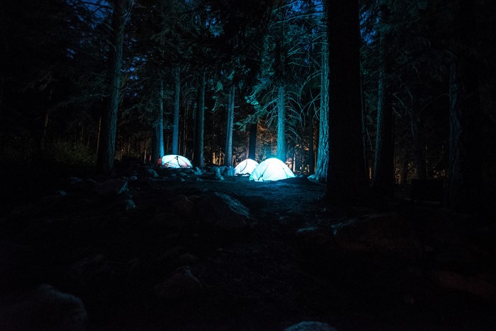 Tents glowing blue in a dark forest at night