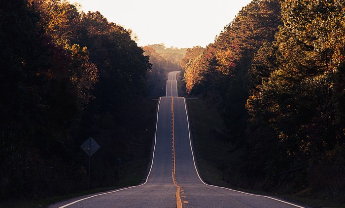 Winding Road Through Autumn Forest Hills