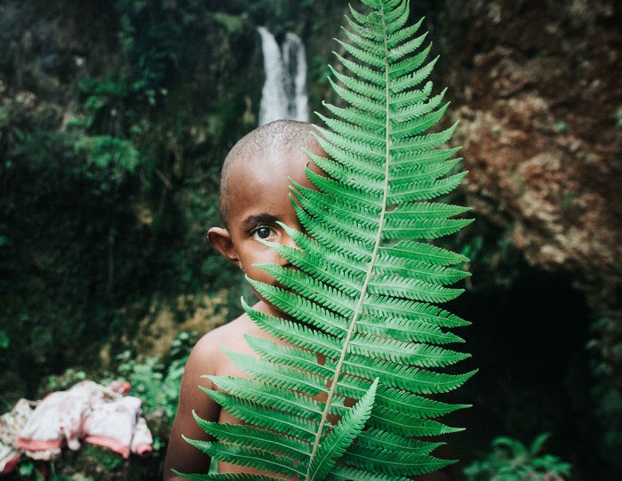 Boy hiding behind a fern near a waterfall
