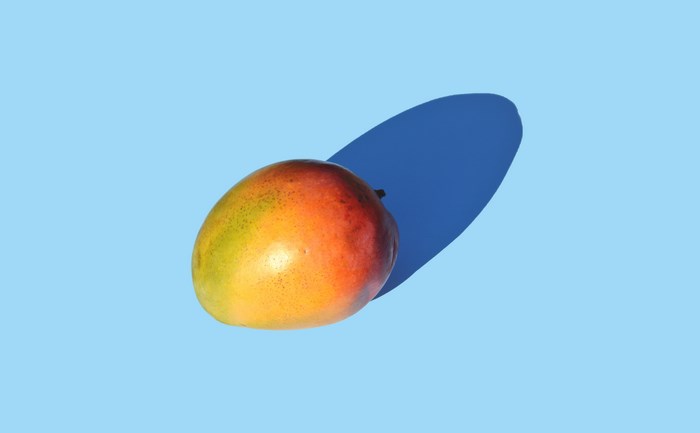 A single mango with a blue shadow on a blue background