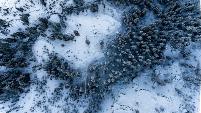 Aerial view of snow-covered trees in the Sierra Nevada