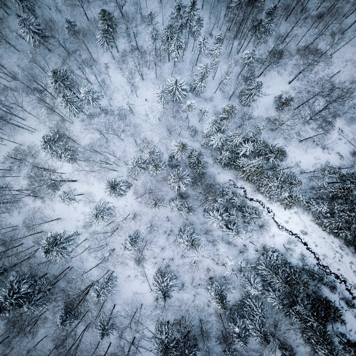 Aerial view of a snowy forest with a river in Austria
