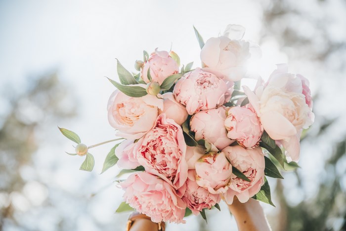 Pink Peony Flower Bouquet Held Outdoors