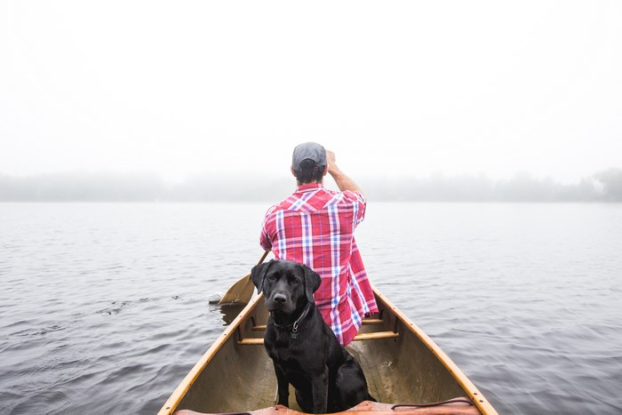 Man and black labrador dog in a canoe on a foggy lake