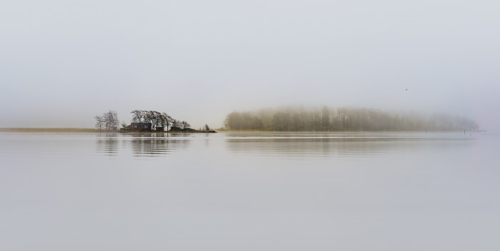 Misty island with a cabin and trees on a lake