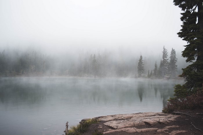 Foggy lake with evergreen forest and rocky shore