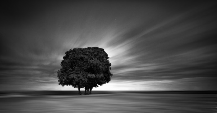 Black and white long exposure landscape with a tree