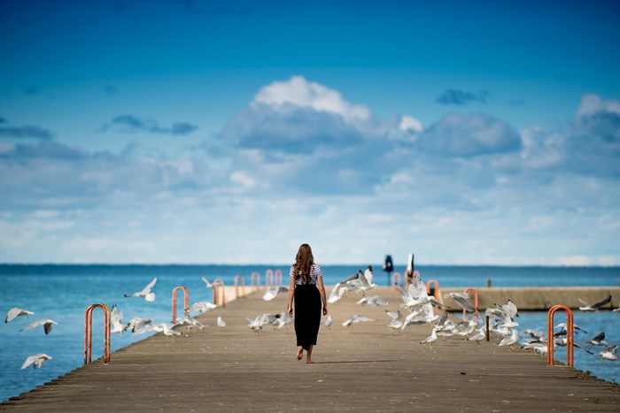 Woman walking on a pier with seagulls flying