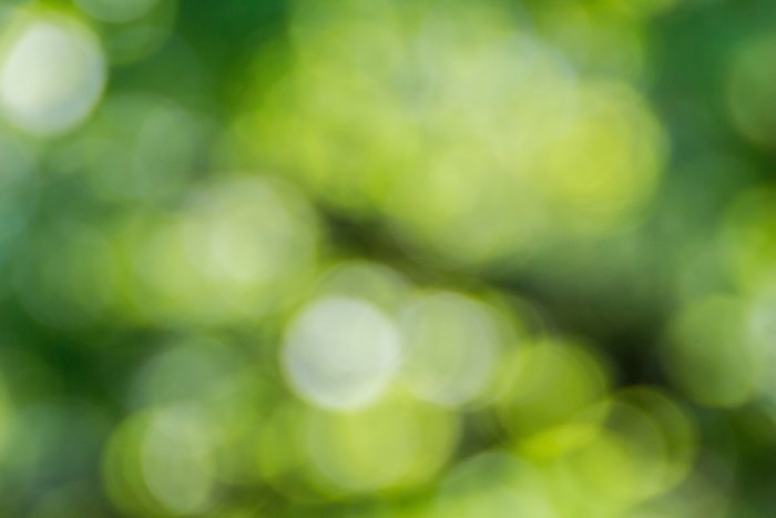 Green and yellow bokeh background with light
