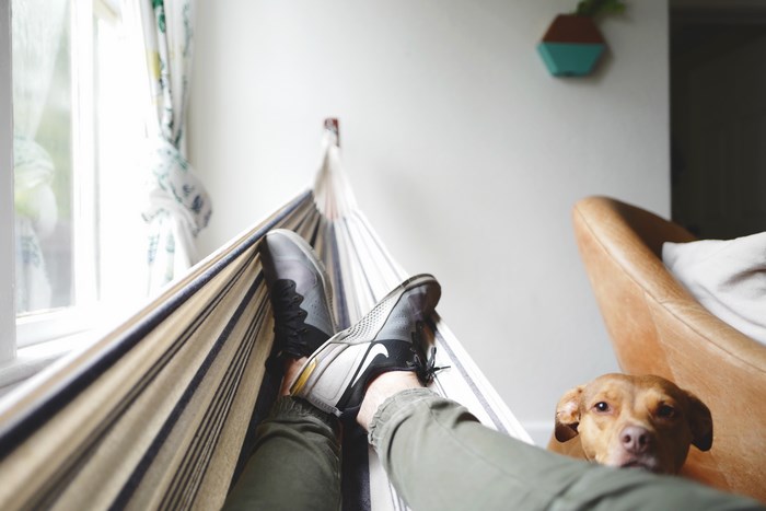 Person relaxing in a hammock with a dog nearby