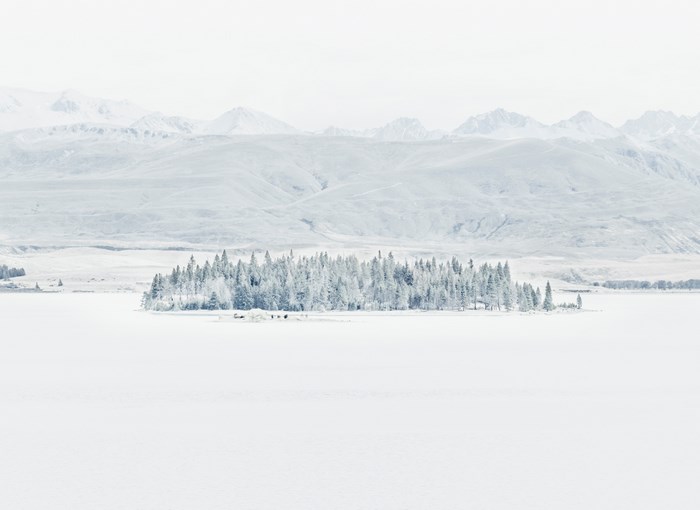 Snowy island forest with mountains in the background