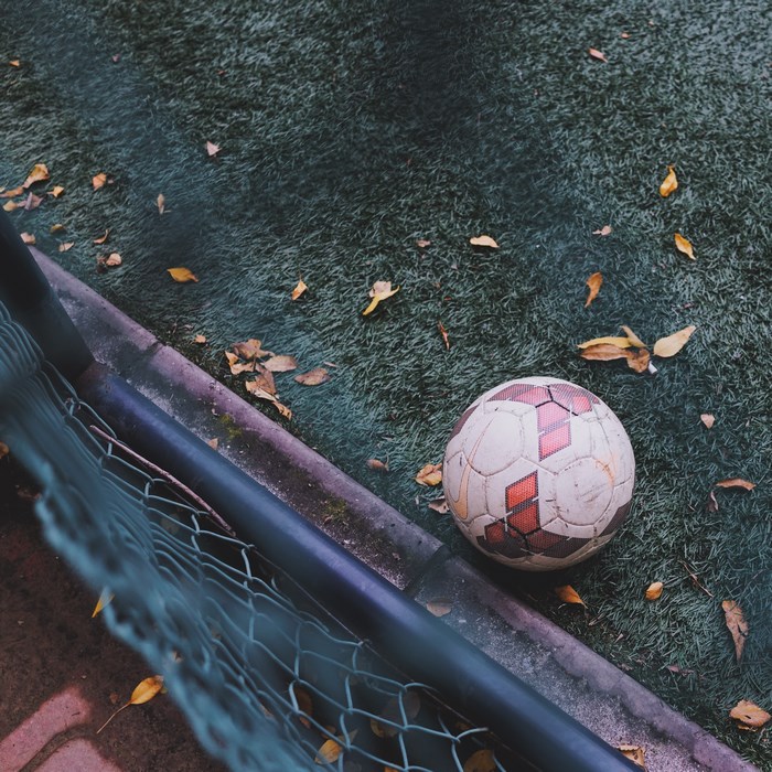 Soccer ball on a grassy field with fallen leaves